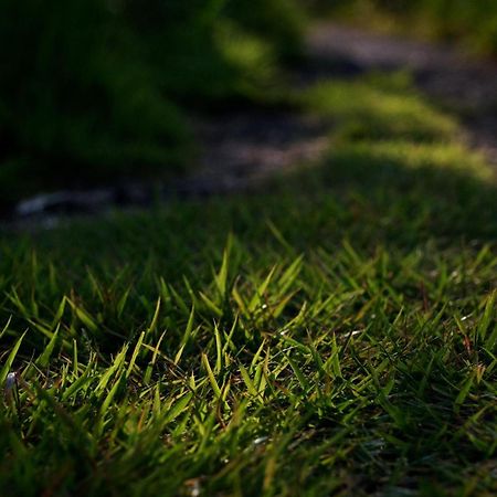 伊豆の宿　静海 Ito  Εξωτερικό φωτογραφία